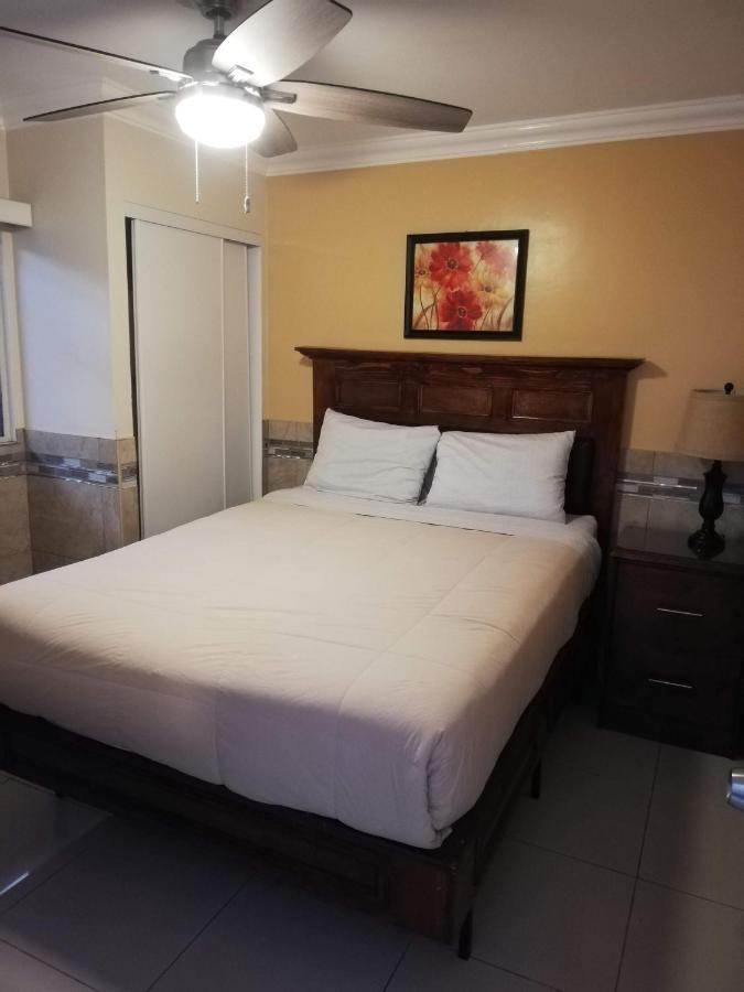 Leon Rojo 3* Tijuana